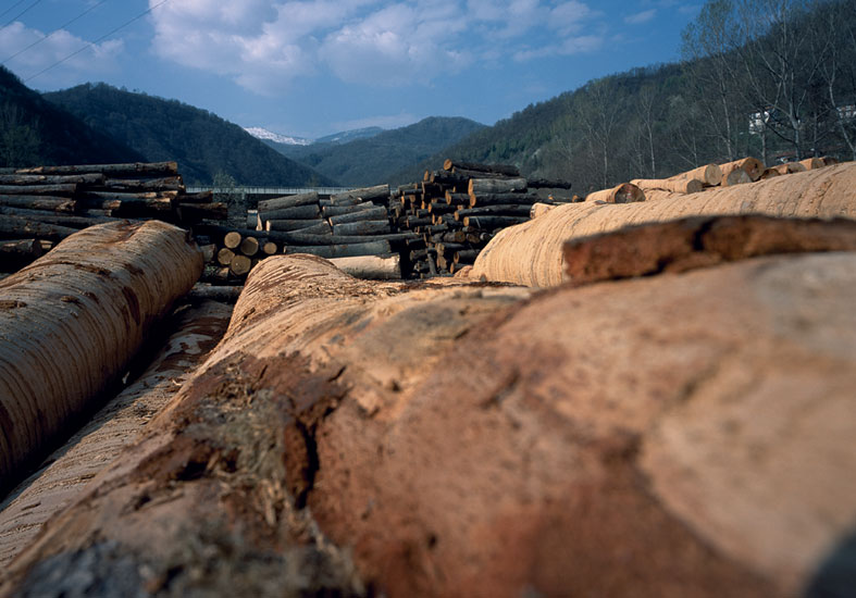 Fasi di lavorazione del legno