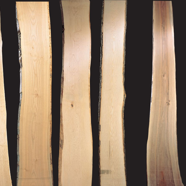 Essenze del legno