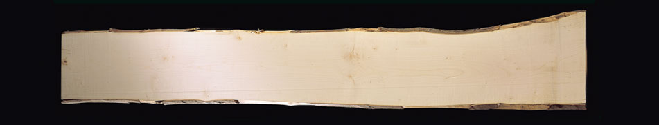 Vendita legno in acero