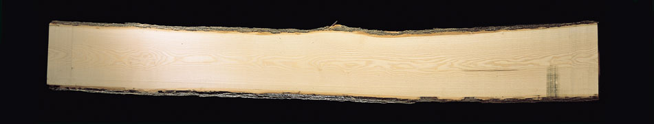 Vendita legno in frassino