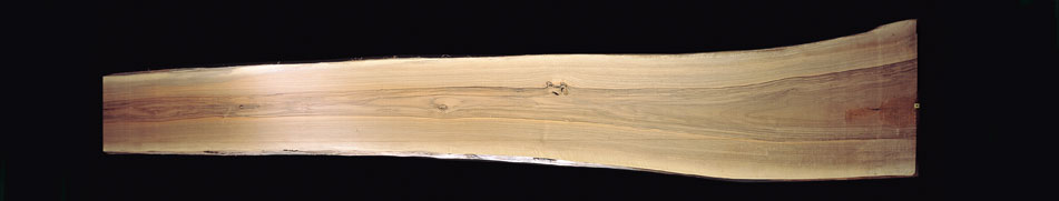 Vendita legno in noce