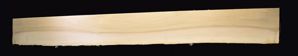 Vendita legno in pioppo