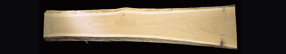 Vendita legno in rovere